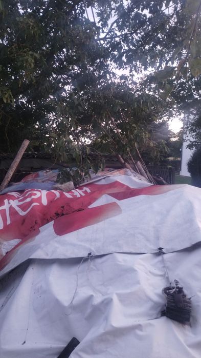 Sprzedam drzewo na opał