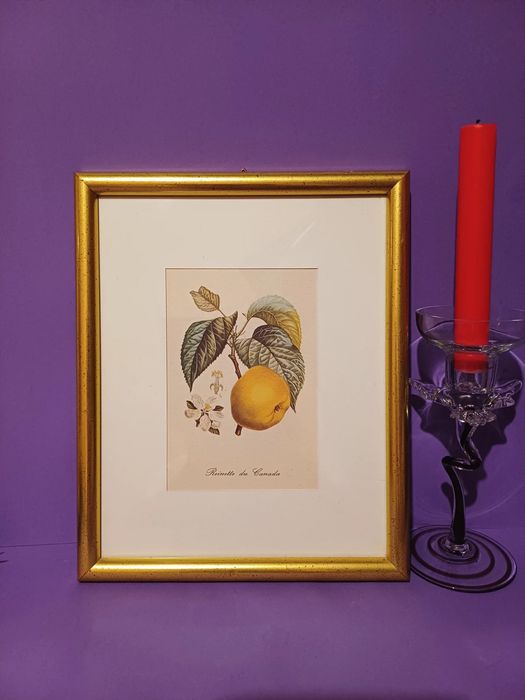 Obrazek w złotej ramce