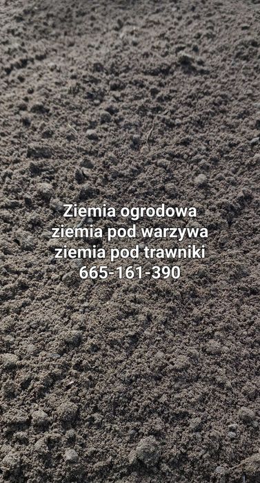 Sprzedaż i transport piasku, piasek siany, ziemia ogrodowa, czarnoziem