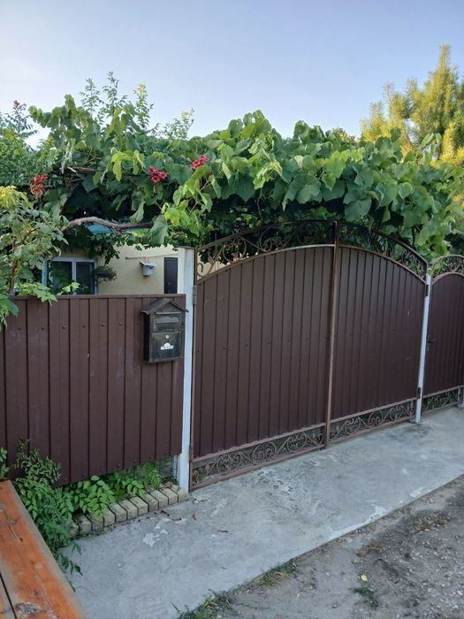 Продаж будинку в селі Степне