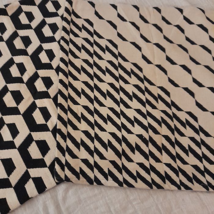 2 Capas de almofada do gato preto.