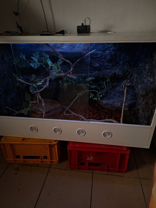 Terrarium wąż jaszczurka gekon