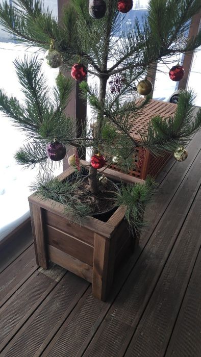 Donica drewniana ogrodowa tarasowa.