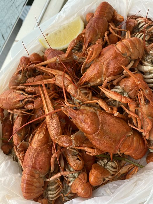 Продам живі річні раки