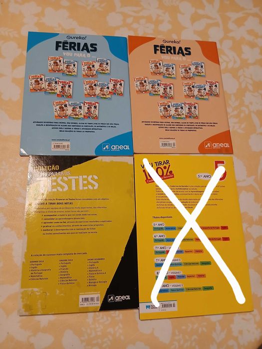 Cadernos de fichas de apoio 5.ano