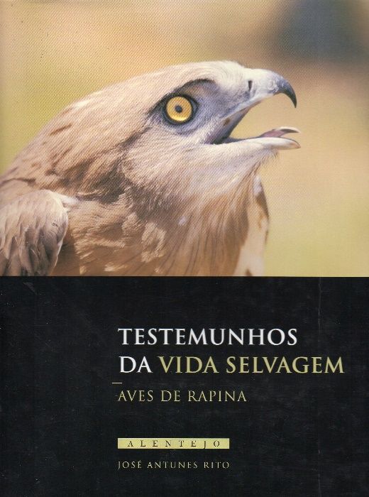 Livro Aves de rapina Testemunhos da vida selvagem