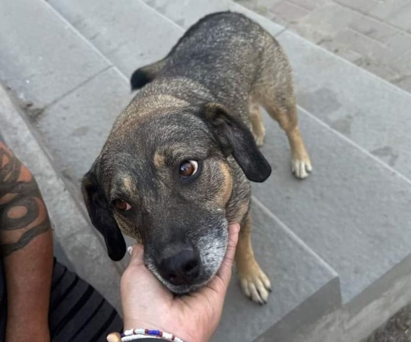 Kochana Lola o ogromnym serduszku.