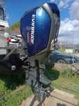 EVINRUDE ETEC G2 150 Autoryzowany serwis Evinrude