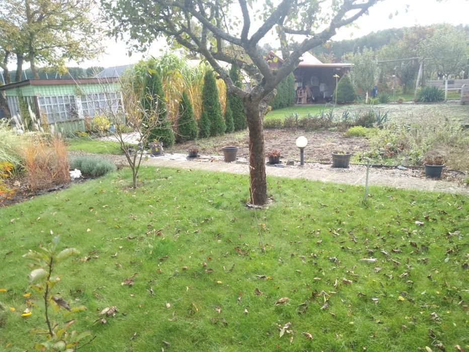 Działka ROD na sprzedaż