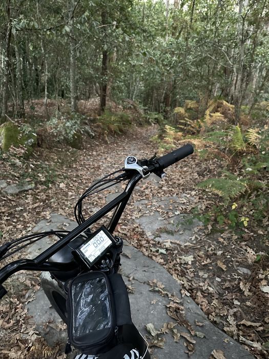 Bicicleta fat bike eléctrica