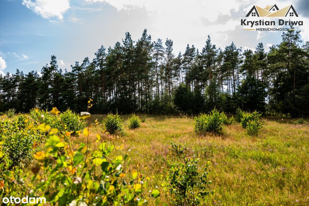 Działki blisko lasu w gm. Sulęczyno!