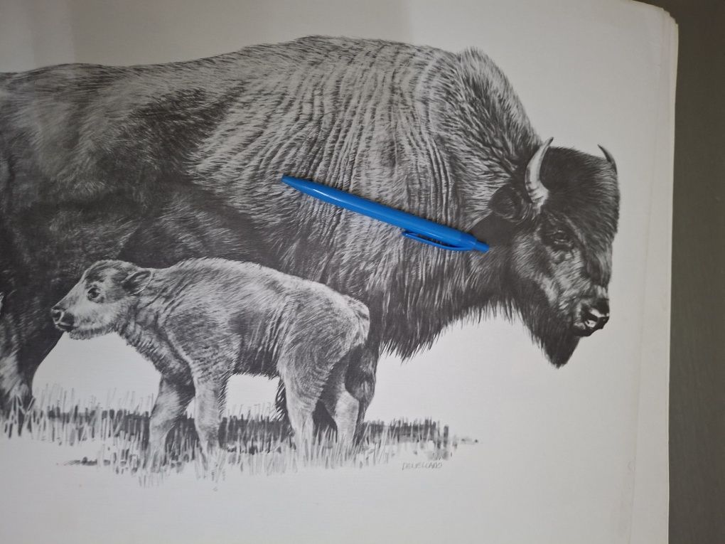 Enorme desenho pintura arte