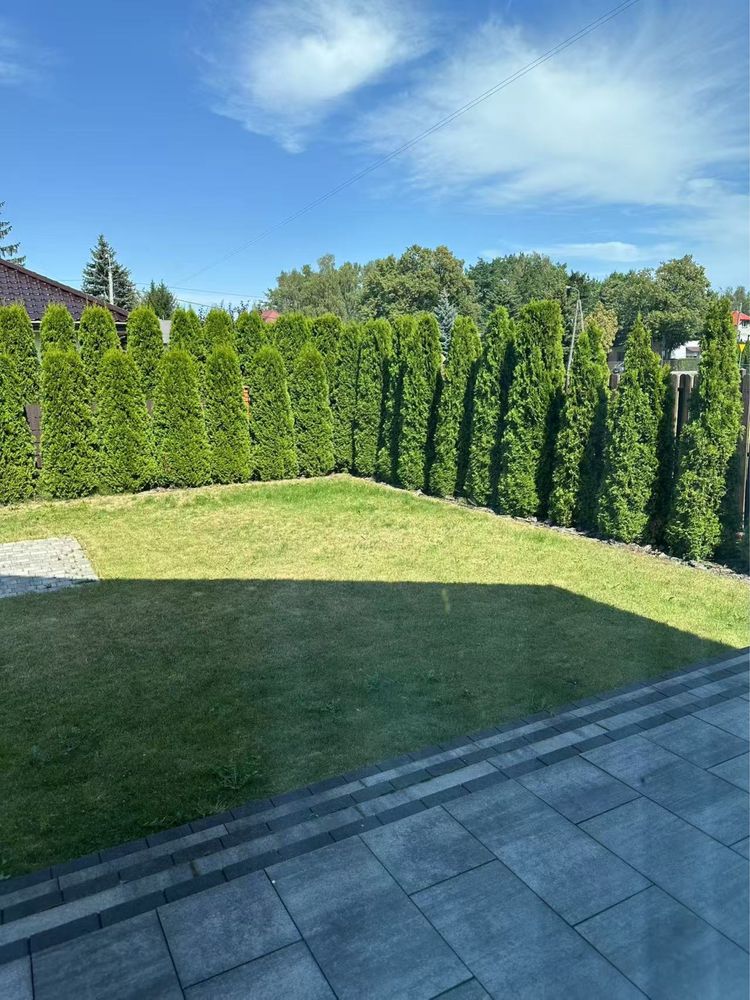 Dom/wynajem/150m2
