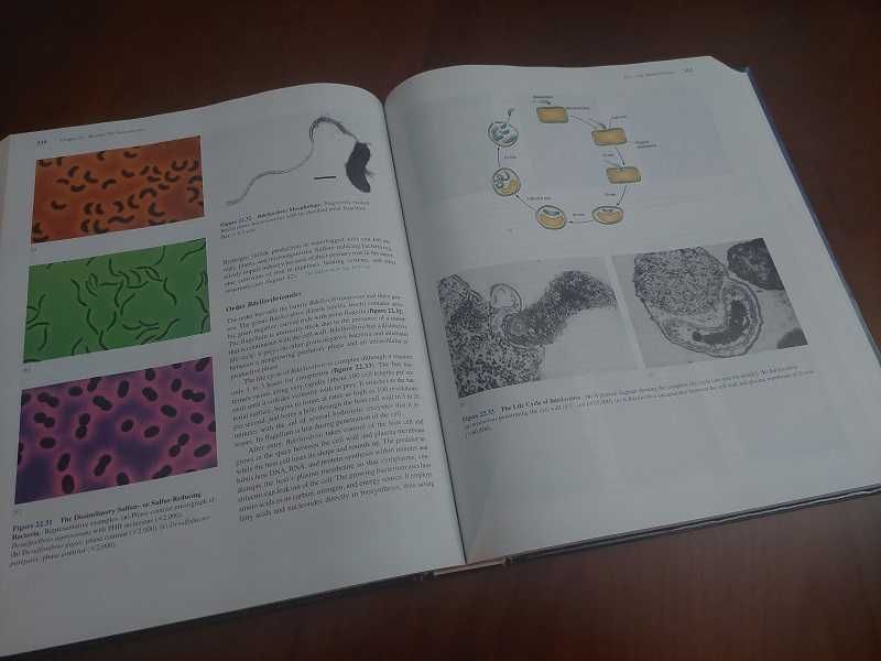 Livro “Microbiology” como novo (Inclui CD), de Prescott Harley Klein