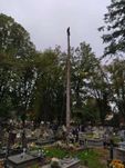 Wycinka drzew - pielęgnacja drzew - transport - HDS - rębak -