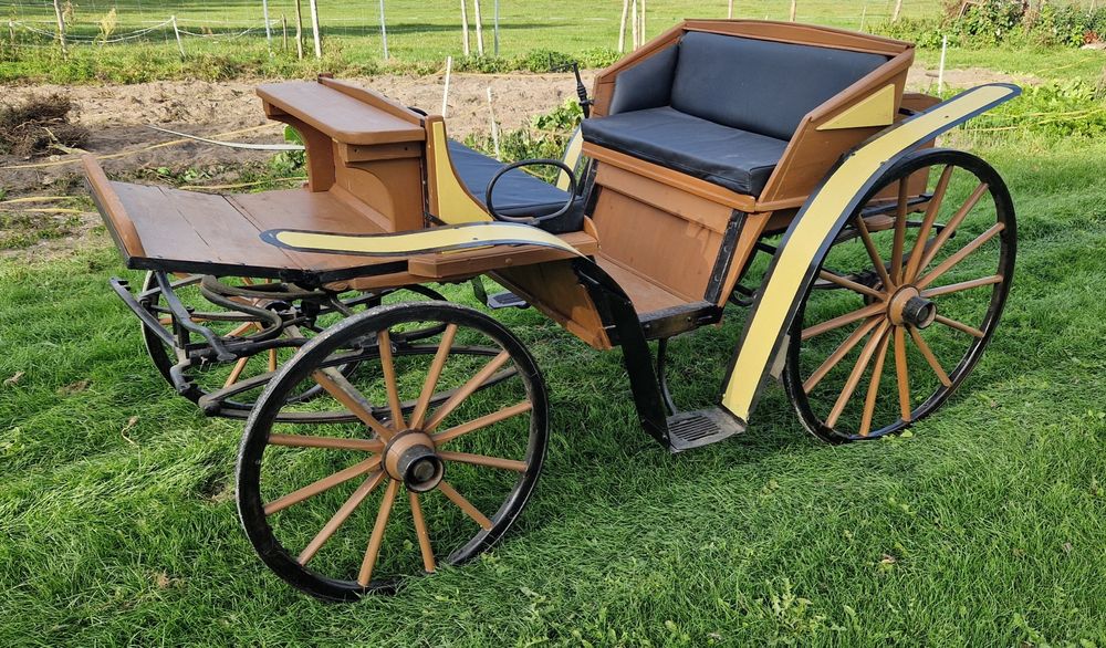 Bryczka konna, ozdoba