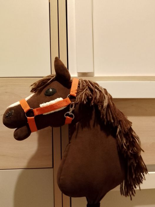 Hobby      horse