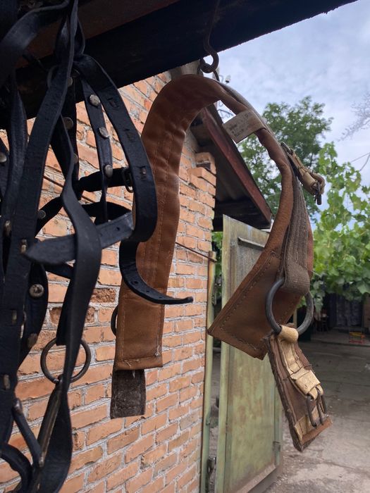 Продам кінську упряж
