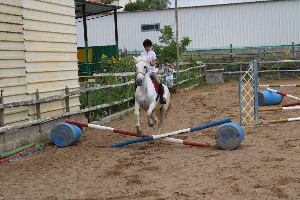 Escola de equitação