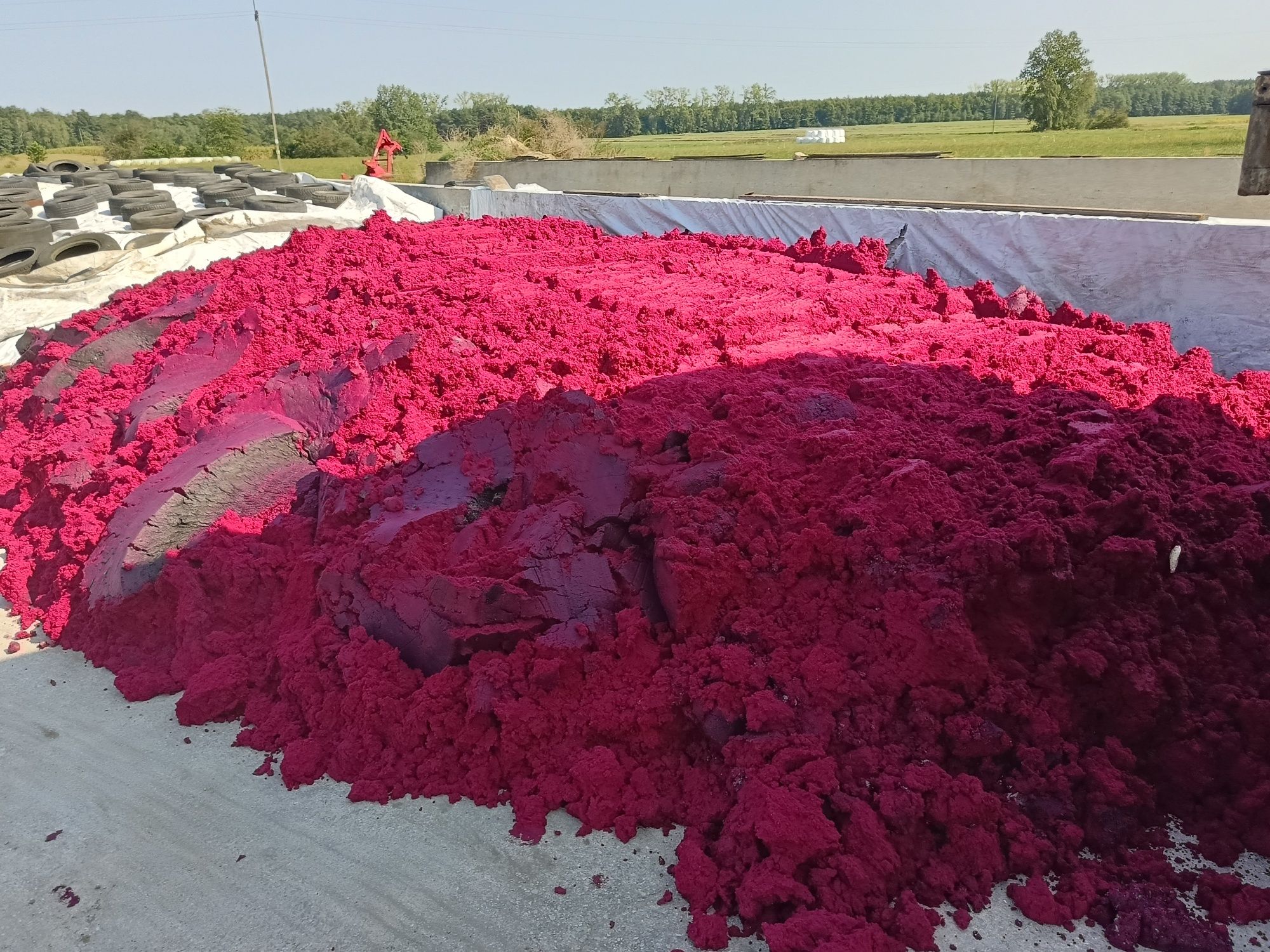 Wytloki z buraczków ćwikłowych
