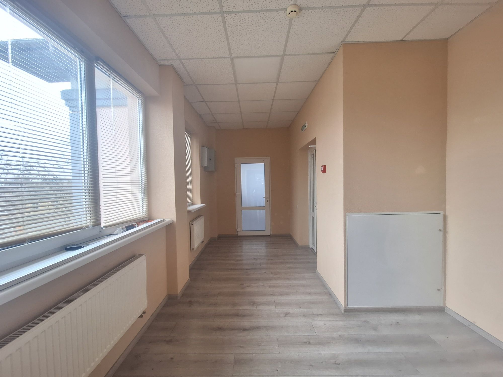 Здам нежитлові приміщення (65, 75,85м) в центрі