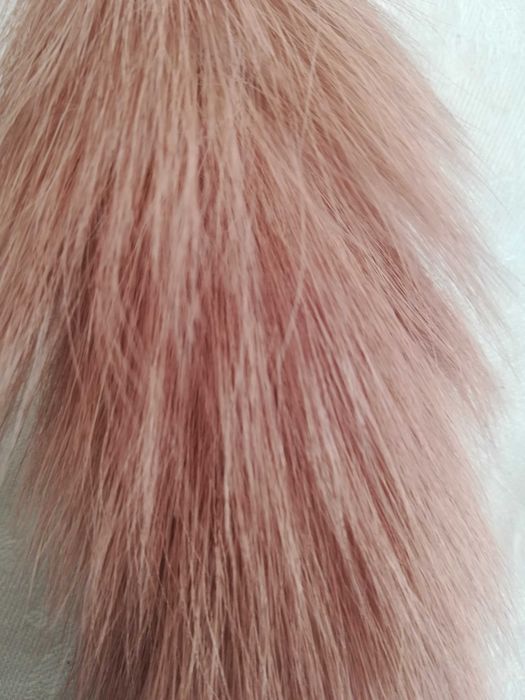 Pele verdadeira de Marta 2 caudas