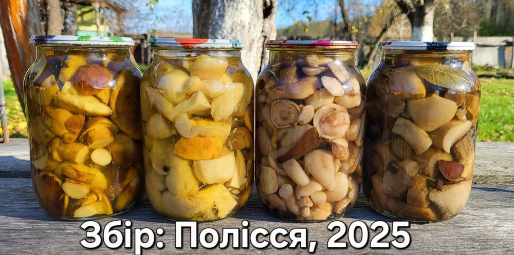 Мариновані гриби