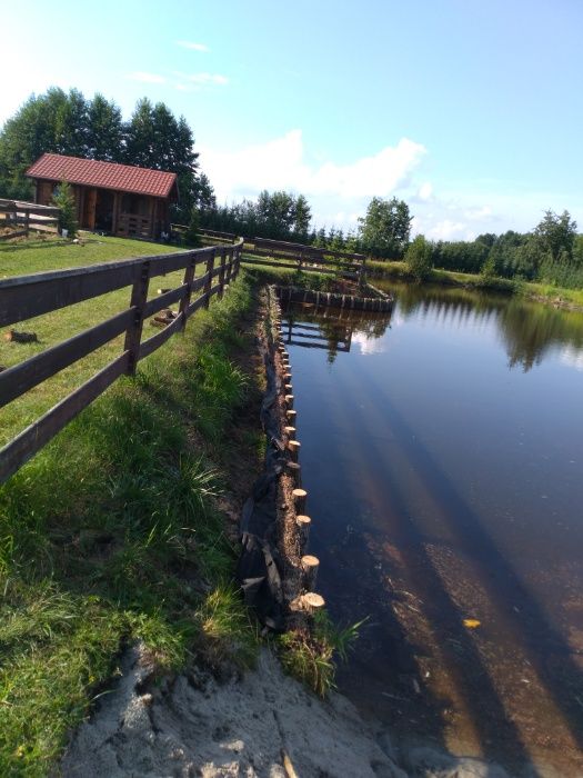 Faszyna.Kołki. Kiszka faszynowa