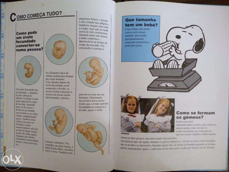 Enciclopédia do Charlie Brown