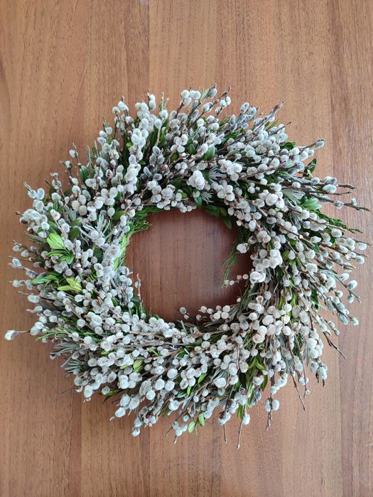 Віночки з вербових котиків Верба баська шутка лоза