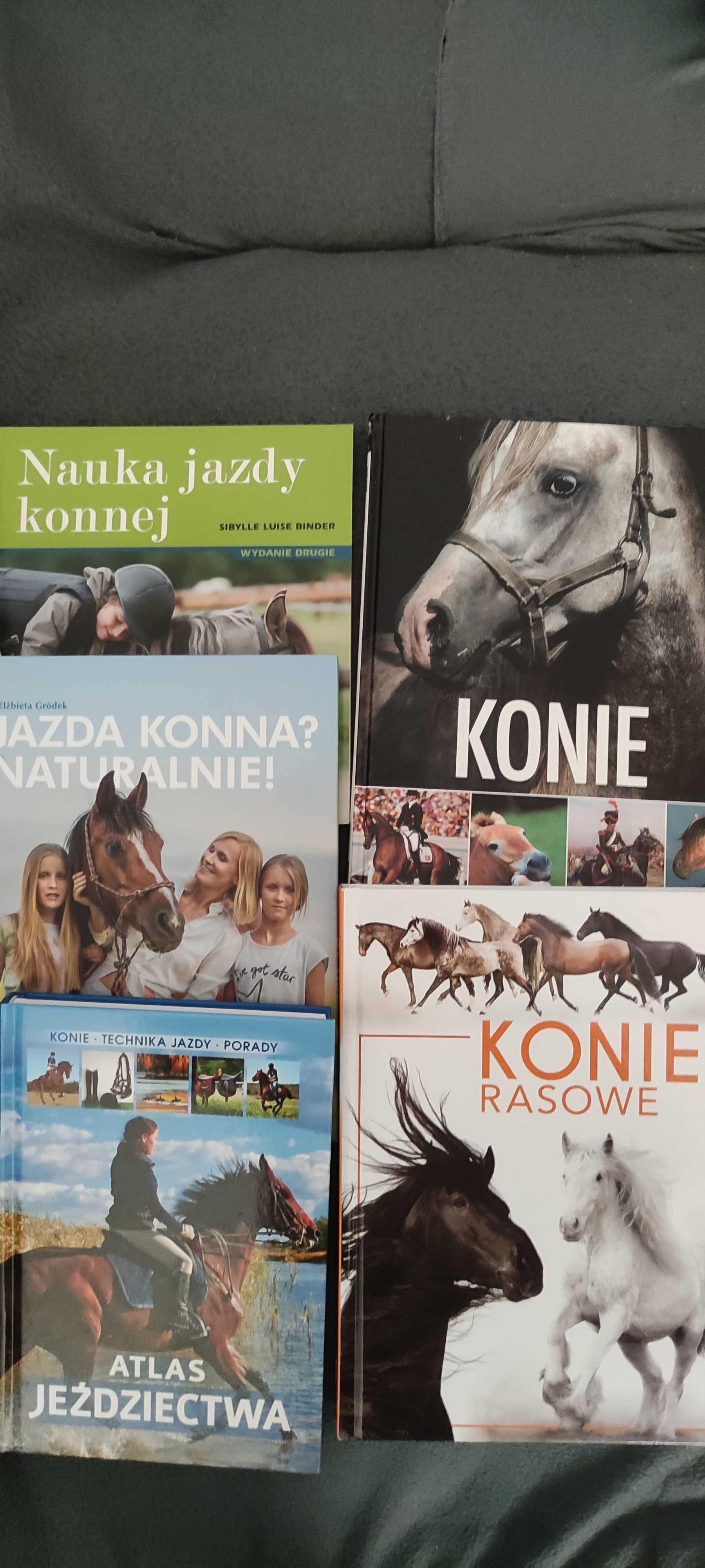 Atlas jeździectwa, Nauka jazdy konnej, Jazda konna, Konie Konie rasowe