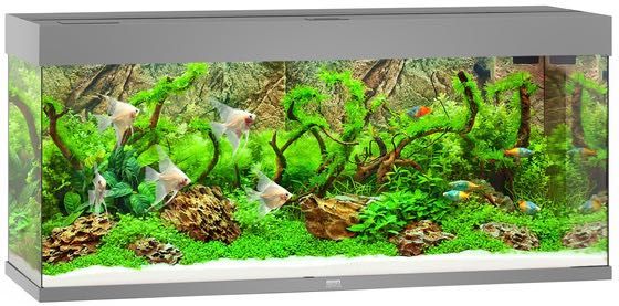 NOWE Akwarium Juwel Rio 240 LED, zestaw akwariowy