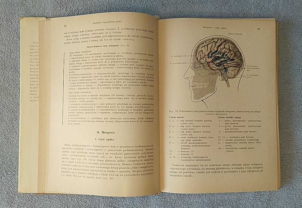 Anatomia topograficzna Johannes W. Rohen
