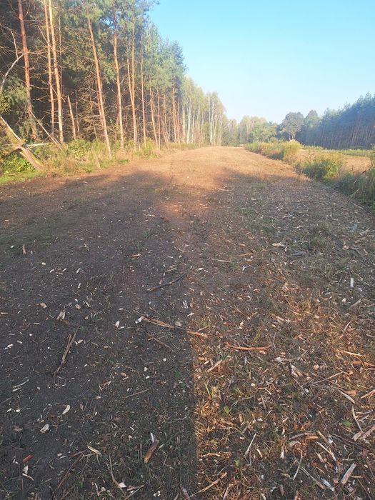 Czyszczenie działek ,wycinka drzew, krzaków