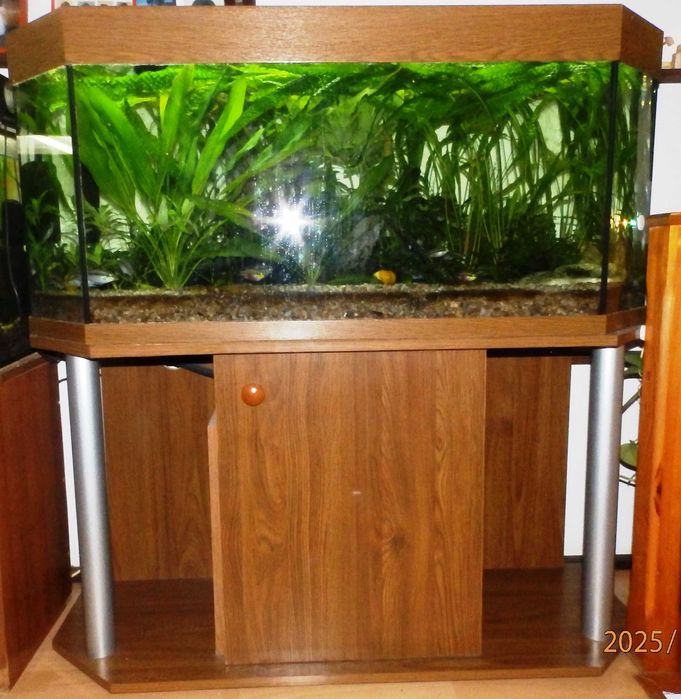 Juvel 200L akwarium +pokrywa+szafka ori