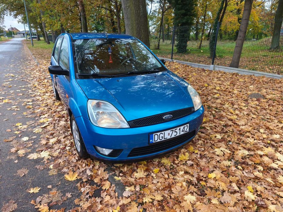Ford Fiesta mk6 1.4 benzyna