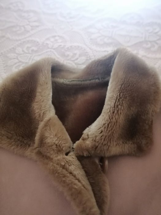 Gabardine castanha XL + casaco de nobuco com pêlo xl