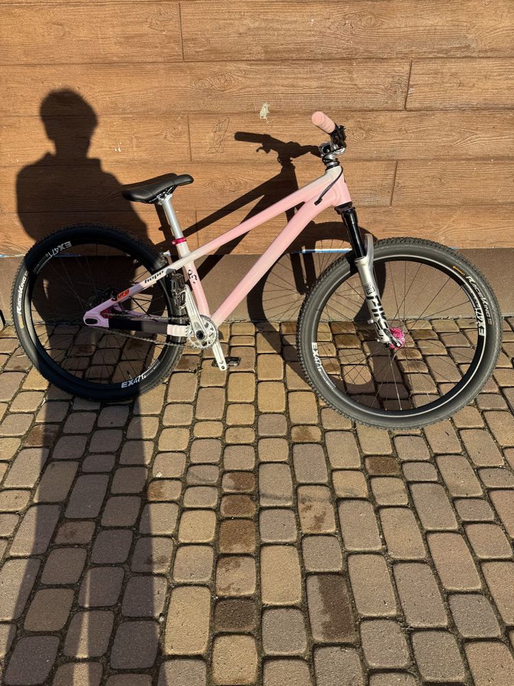 specialized p3 (custom)