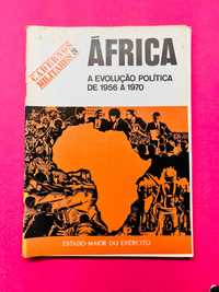 Cadernos Militares nº20 - África, A Evolução Política