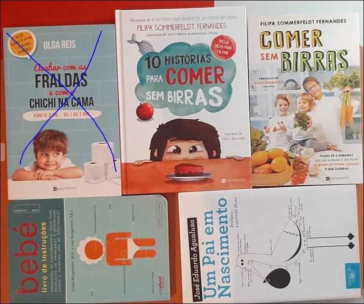 Livros diversos sobre bebés e crianças