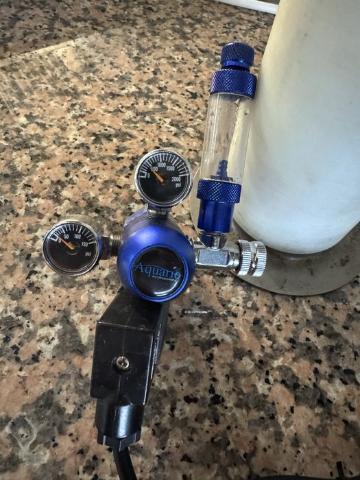 Kit co2 aquario plantado