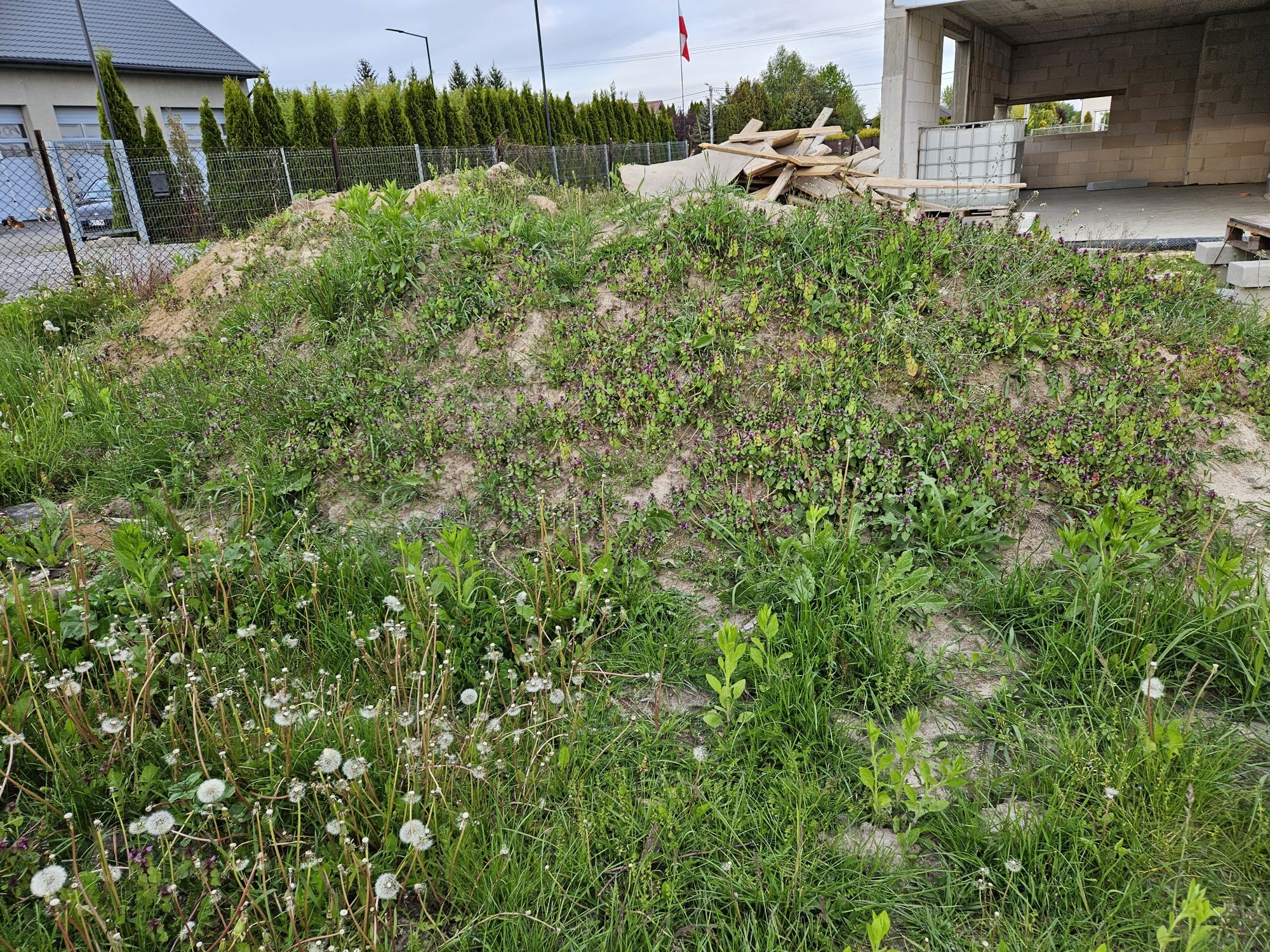 Oddam ziemię po wykopach fundamentowych