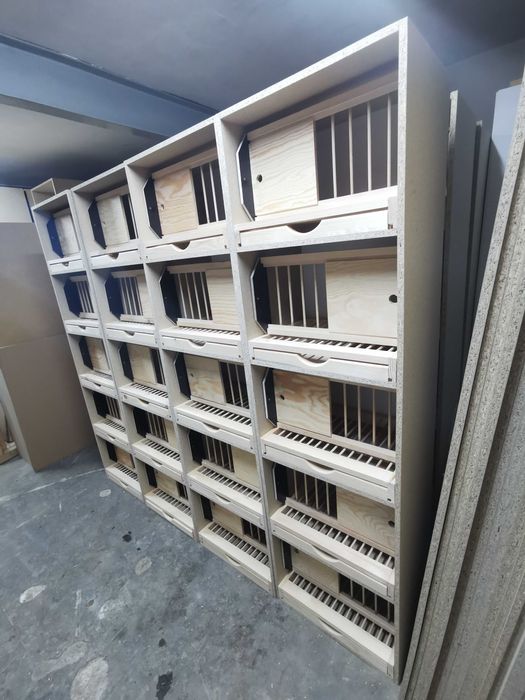 Pakiet 20 cel lęgowych wysyłka paletowa