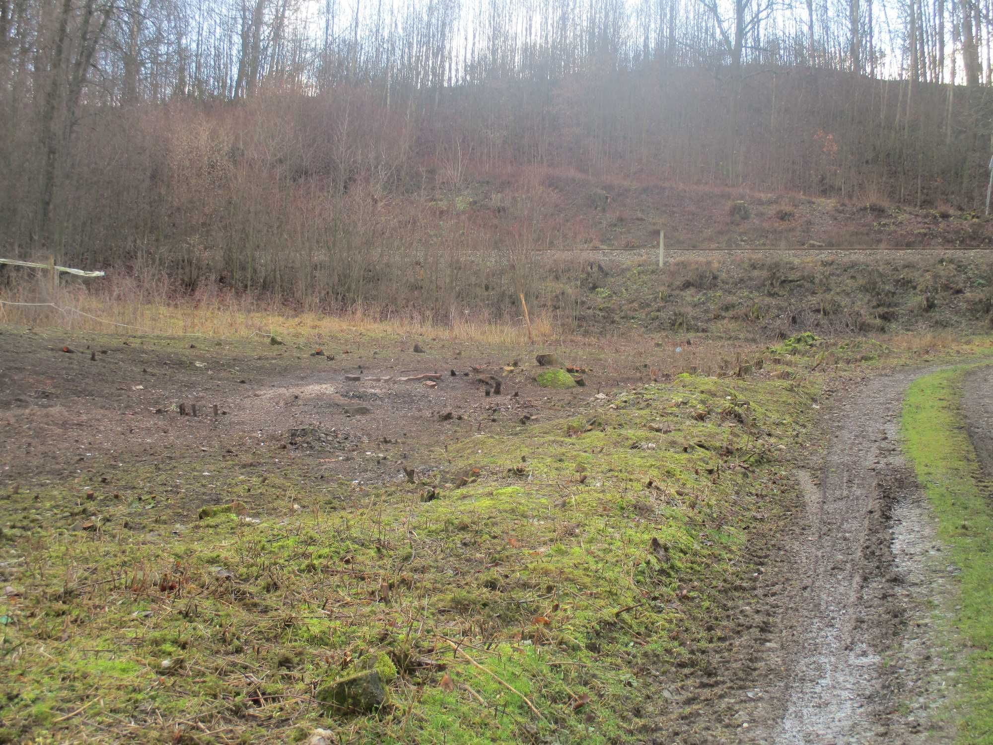 Dom z działką Jeleniów 2 km od Kudowy Zdrój
