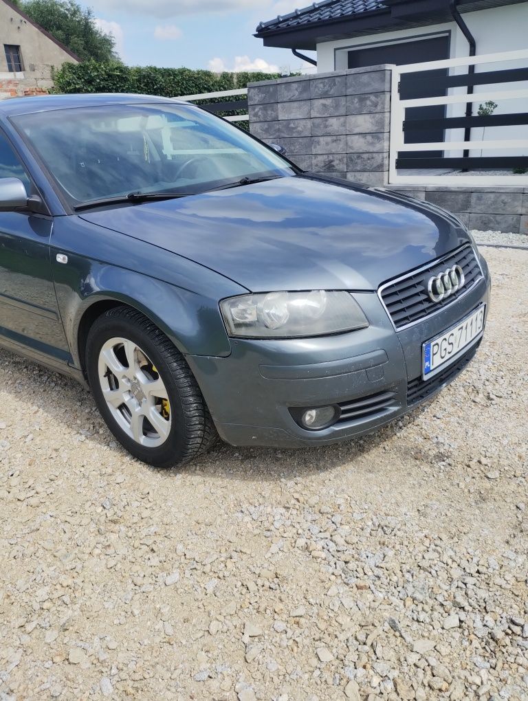 Audi a3 8P 1.9tdi