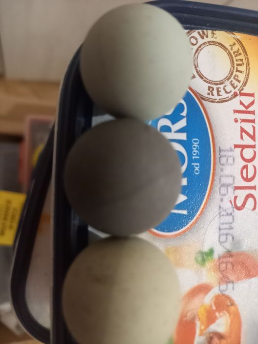 Kulka do / dla myszki z kulka.