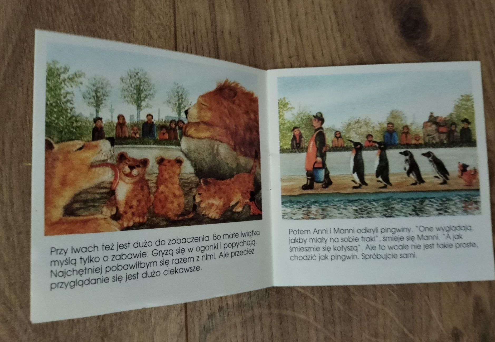 Zestaw 3 bajeczek - Gwiazdkowe sny, Czas gwiazdkowy, Wizyta w zoo