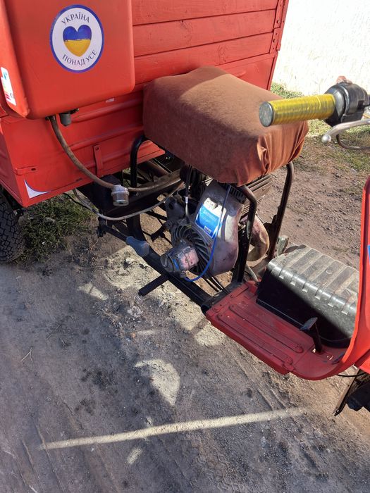 Продам муравей робочий