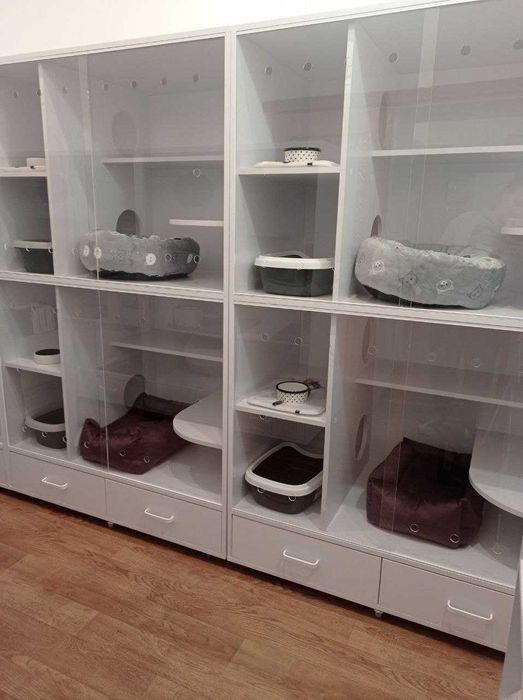 Готель для котів