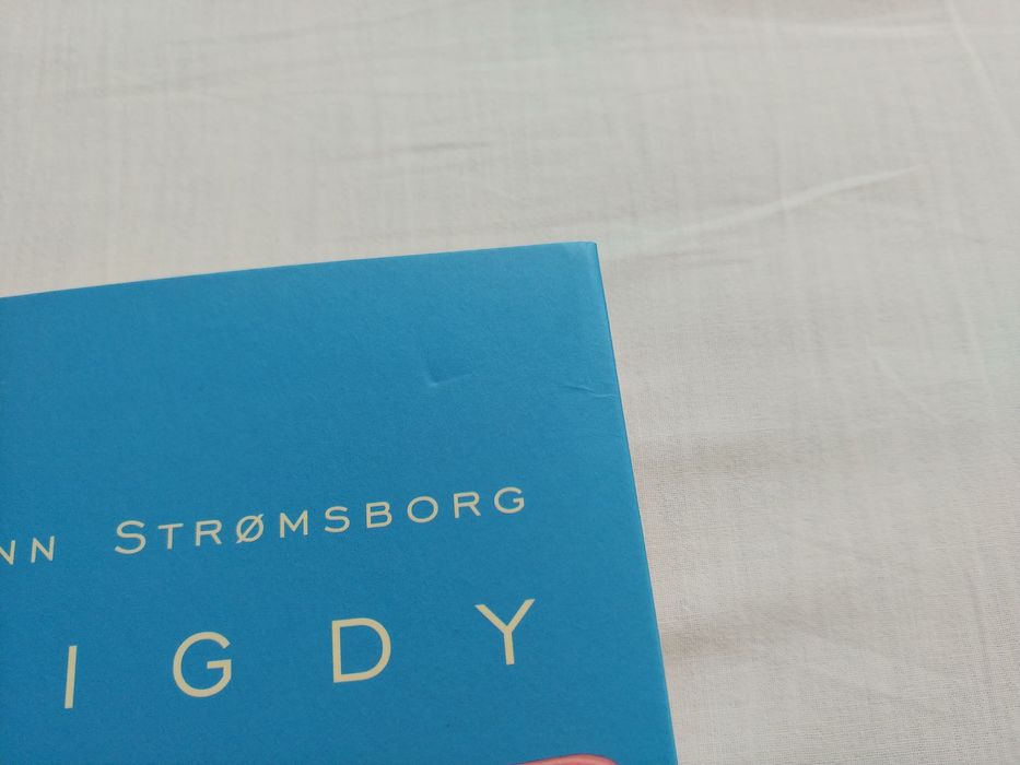 Nigdy, nigdy, nigdy Linn Strømsborg ArtRage